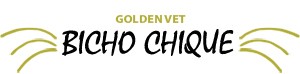 Bicho Chique